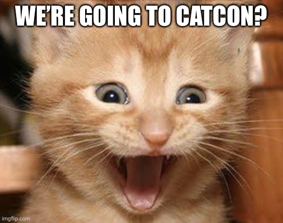 Excited Cat Meme | WE’RE GOING TO CATCON? | image tagged in memes,excited cat | made w/ Imgflip meme maker