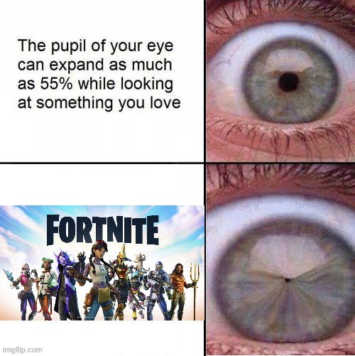 Like this doesn't need a title or anything | image tagged in eye pupil shrinking template,fortnite sucks | made w/ Imgflip meme maker