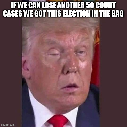 Trump's got this | IF WE CAN LOSE ANOTHER 50 COURT CASES WE GOT THIS ELECTION IN THE BAG | image tagged in donald trump,trump supporters,republicans,election 2020 | made w/ Imgflip meme maker