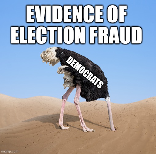 In the face of obvious election fraud, Democrats do not seem to care about American election integrity... | EVIDENCE OF ELECTION FRAUD; DEMOCRATS | image tagged in election fraud,2020,sticking their head in the sand,democrats have no integrity,ConservativesOnly | made w/ Imgflip meme maker