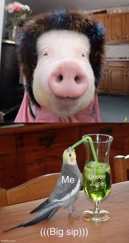 I actually want to unsee this | image tagged in unsee juice big sip,pigs,ugly,wtf | made w/ Imgflip meme maker