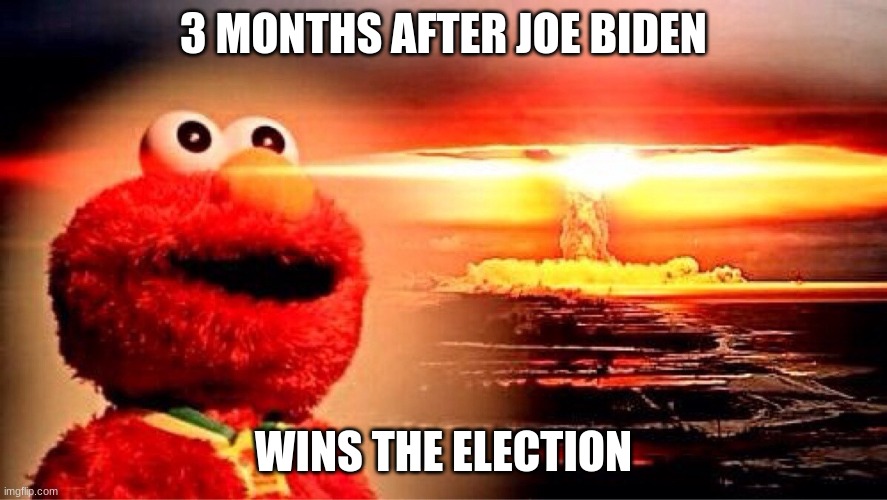 YOU MANIAC | 3 MONTHS AFTER JOE BIDEN; WINS THE ELECTION | image tagged in elmo nuclear explosion | made w/ Imgflip meme maker