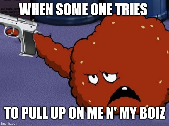 I'm kinda protective | WHEN SOME ONE TRIES; TO PULL UP ON ME N' MY BOIZ | image tagged in meatwad with a gun | made w/ Imgflip meme maker