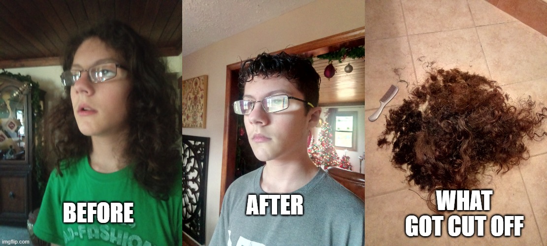 I got a haircut today | AFTER; WHAT GOT CUT OFF; BEFORE | image tagged in hair,haircut,before and after | made w/ Imgflip meme maker