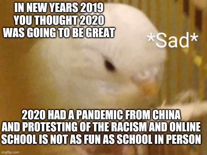 2020 Was Thought To Be Good In 2019 But It's Bad | IN NEW YEARS 2019 YOU THOUGHT 2020 WAS GOING TO BE GREAT; 2020 HAD A PANDEMIC FROM CHINA AND PROTESTING OF THE RACISM AND ONLINE SCHOOL IS NOT AS FUN AS SCHOOL IN PERSON | image tagged in 2020 sucks | made w/ Imgflip meme maker