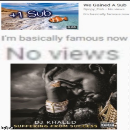 One follower I'm famous now | image tagged in dj khaled suffering from success meme,lol,memes,funny | made w/ Imgflip meme maker