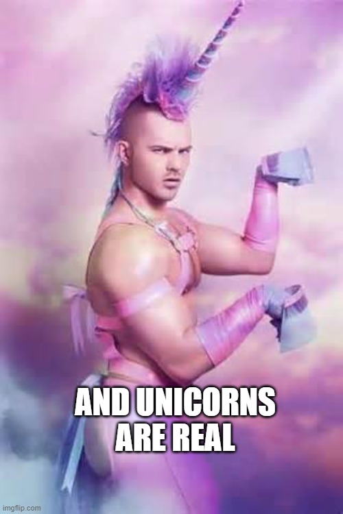 Gay Unicorn | AND UNICORNS ARE REAL | image tagged in gay unicorn | made w/ Imgflip meme maker