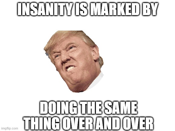 "I want another recount!" |  INSANITY IS MARKED BY; DOING THE SAME THING OVER AND OVER | image tagged in blank white template | made w/ Imgflip meme maker