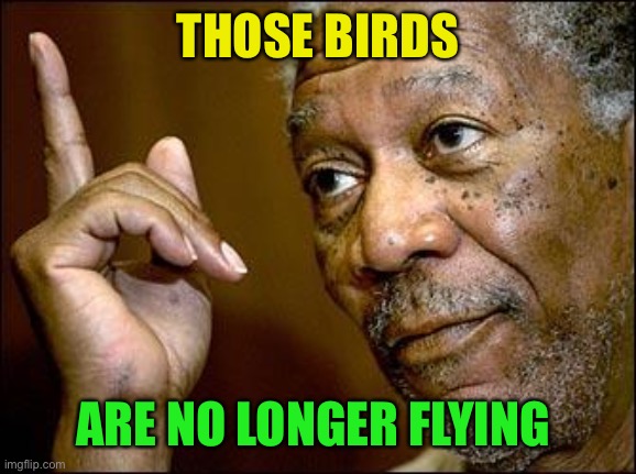 This Morgan Freeman | THOSE BIRDS ARE NO LONGER FLYING | image tagged in this morgan freeman | made w/ Imgflip meme maker