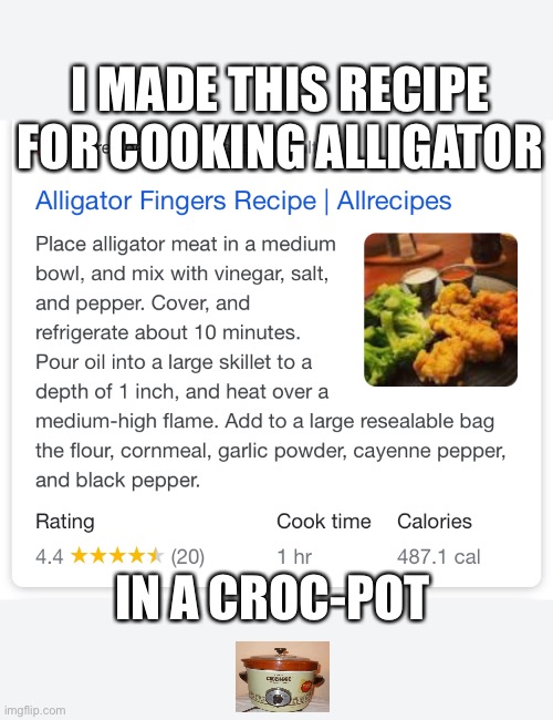 Such a croc | I MADE THIS RECIPE FOR COOKING ALLIGATOR; IN A CROC-POT | image tagged in alligator | made w/ Imgflip meme maker