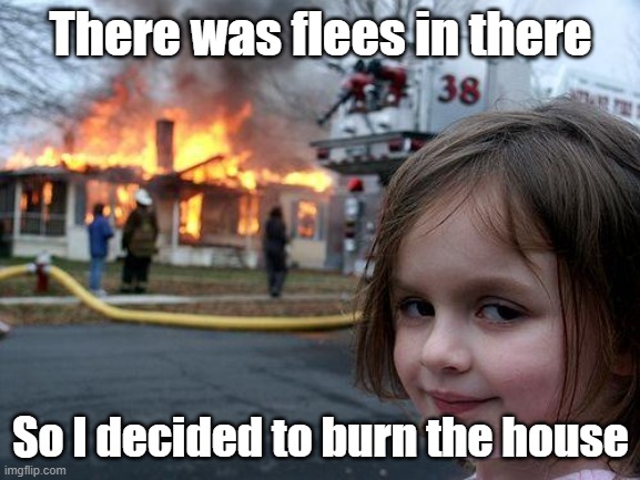 Disaster Girl Meme | There was flees in there; So I decided to burn the house | image tagged in memes,disaster girl | made w/ Imgflip meme maker