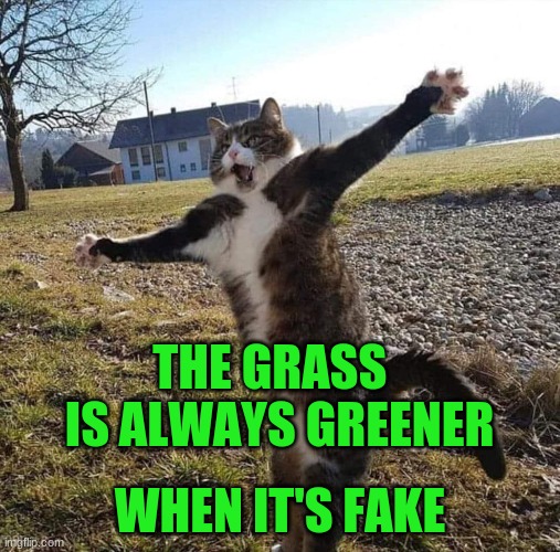 Fake Cat | THE GRASS    IS ALWAYS GREENER; WHEN IT'S FAKE | image tagged in surprise | made w/ Imgflip meme maker