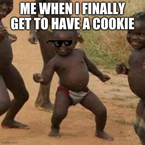 Third World Success Kid | ME WHEN I FINALLY GET TO HAVE A COOKIE | image tagged in memes,third world success kid | made w/ Imgflip meme maker