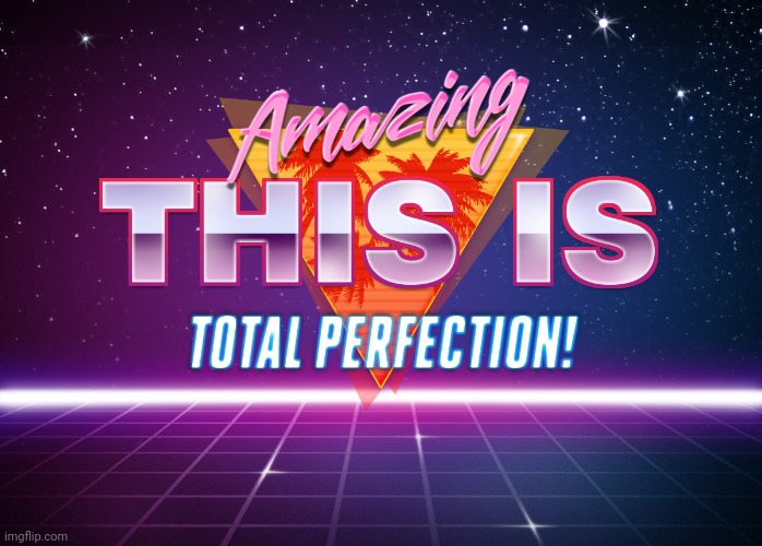Amazing, This is total Perfection!! | image tagged in amazing this is total perfection | made w/ Imgflip meme maker