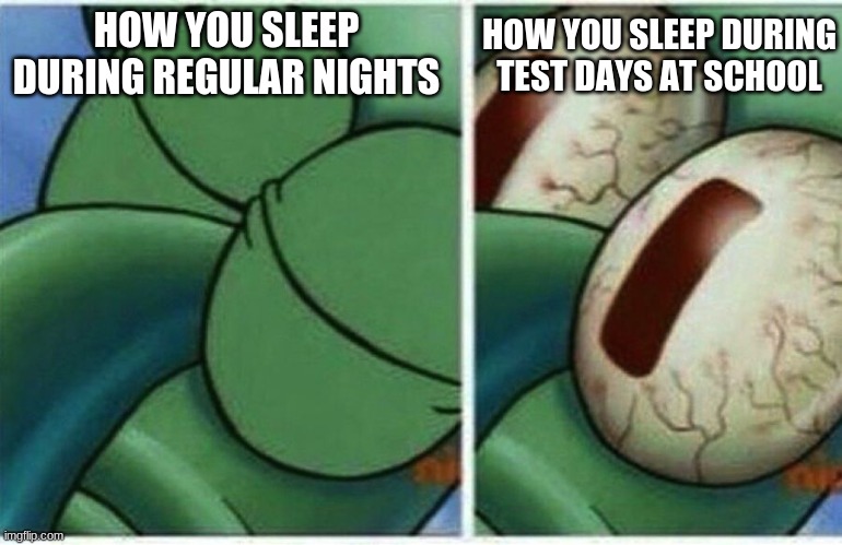 squidward wakes up | HOW YOU SLEEP DURING TEST DAYS AT SCHOOL; HOW YOU SLEEP DURING REGULAR NIGHTS | image tagged in squidward,memes | made w/ Imgflip meme maker