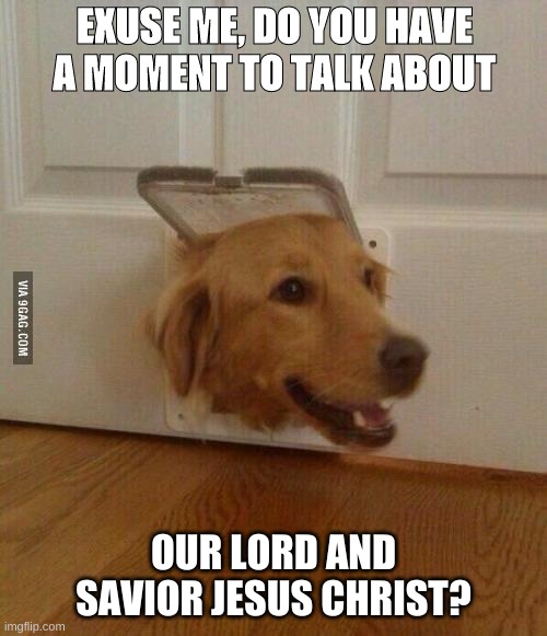 Just got english cream retriever puppy! <3 | EXUSE ME, DO YOU HAVE A MOMENT TO TALK ABOUT; OUR LORD AND SAVIOR JESUS CHRIST? | image tagged in jim golden retriever | made w/ Imgflip meme maker