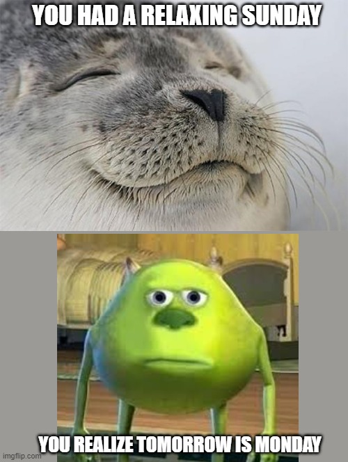 Satisfied Seal | YOU HAD A RELAXING SUNDAY; YOU REALIZE TOMORROW IS MONDAY | image tagged in memes,satisfied seal | made w/ Imgflip meme maker