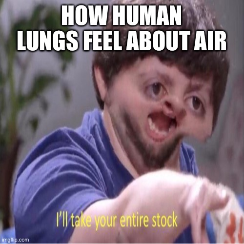 I’ll take your entire stock | HOW HUMAN LUNGS FEEL ABOUT AIR | image tagged in memes,funny,funny meme | made w/ Imgflip meme maker