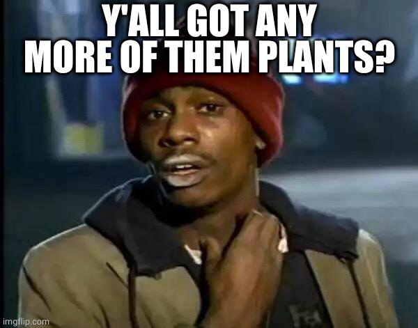 Me when I go to home depot and see the house plants. | Y'ALL GOT ANY MORE OF THEM PLANTS? | image tagged in memes,y'all got any more of that | made w/ Imgflip meme maker