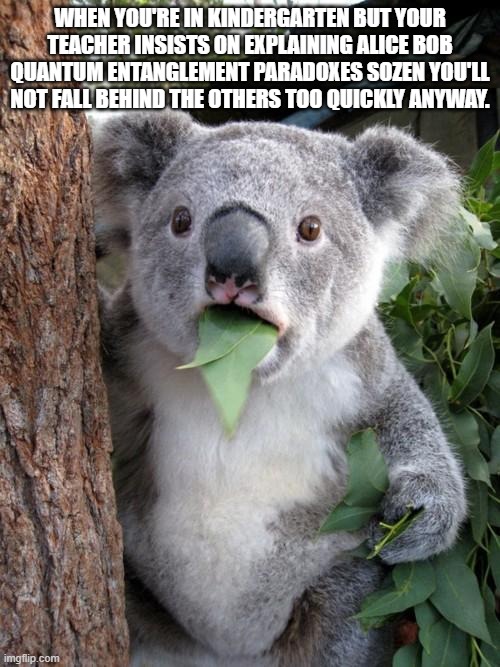 Surprised Koala Meme | WHEN YOU'RE IN KINDERGARTEN BUT YOUR TEACHER INSISTS ON EXPLAINING ALICE BOB QUANTUM ENTANGLEMENT PARADOXES SOZEN YOU'LL NOT FALL BEHIND THE OTHERS TOO QUICKLY ANYWAY. | image tagged in memes,surprised koala | made w/ Imgflip meme maker