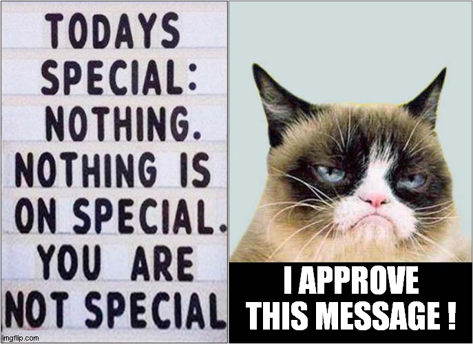 Grumpy Says You're Not Special | I APPROVE THIS MESSAGE ! | image tagged in cats,signs/billboards,grumpy cat | made w/ Imgflip meme maker