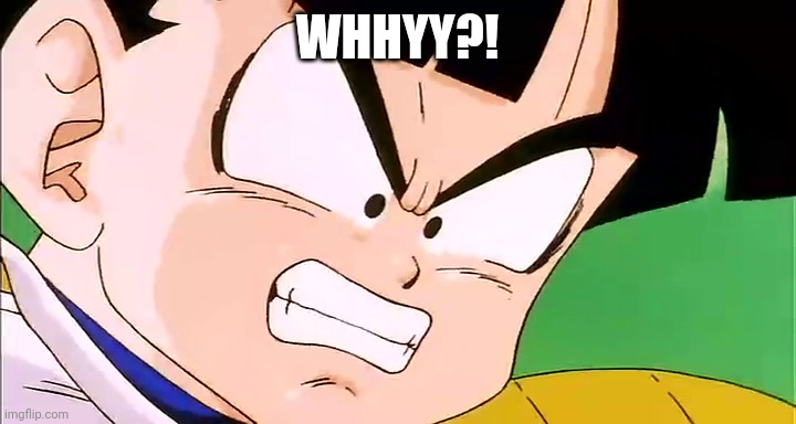 Frustrated Gohan (DBZ) | WHHYY?! | image tagged in frustrated gohan dbz | made w/ Imgflip meme maker