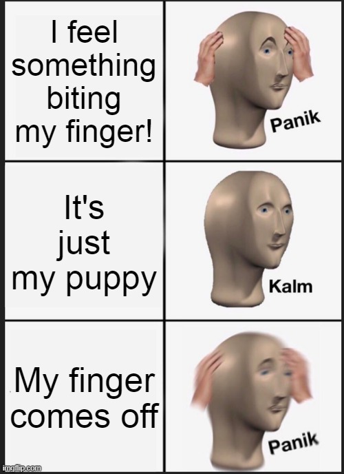 Panik Kalm Panik Meme | I feel something biting my finger! It's just my puppy; My finger comes off | image tagged in memes,panik kalm panik | made w/ Imgflip meme maker