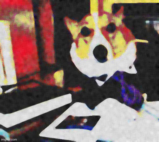Lawyer corgi dog deep-fried Median filter Blank Meme Template