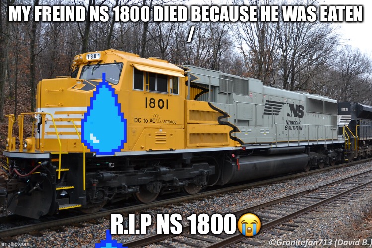 NS 1801 is sad | MY FREIND NS 1800 DIED BECAUSE HE WAS EATEN
   /; R.I.P NS 1800😭 | image tagged in memes | made w/ Imgflip meme maker