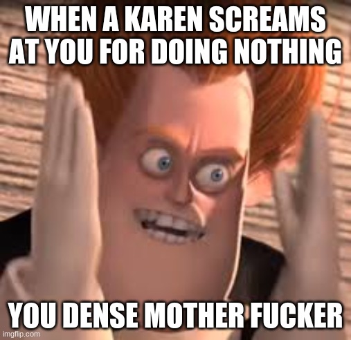 You dense Mdf | WHEN A KAREN SCREAMS AT YOU FOR DOING NOTHING; YOU DENSE MOTHER FUCKER | image tagged in you dense | made w/ Imgflip meme maker