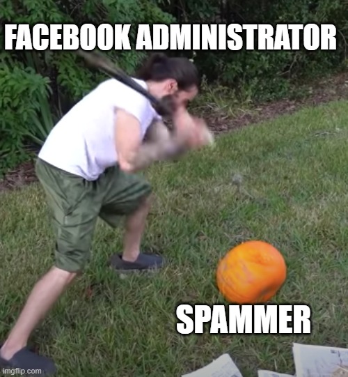 face book administrator spammers | FACEBOOK ADMINISTRATOR; SPAMMER | image tagged in charlie beating up a pumpkin with a bat | made w/ Imgflip meme maker