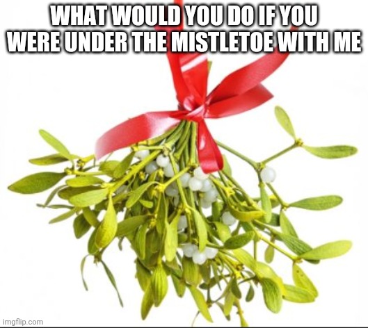 mistletoe | WHAT WOULD YOU DO IF YOU WERE UNDER THE MISTLETOE WITH ME | image tagged in mistletoe | made w/ Imgflip meme maker