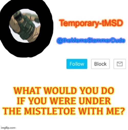 Just following another trend lol | WHAT WOULD YOU DO IF YOU WERE UNDER THE MISTLETOE WITH ME? | image tagged in temporary-tmsd announcement take 2,memes,funny,trend | made w/ Imgflip meme maker