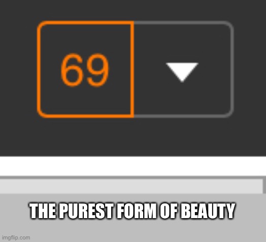 :} | THE PUREST FORM OF BEAUTY | image tagged in lolihatemylife | made w/ Imgflip meme maker