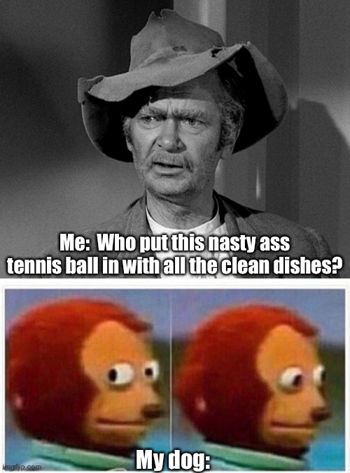 DOG GERMS! | Me:  Who put this nasty ass tennis ball in with all the clean dishes? My dog: | image tagged in dogs,dishes,put it somewhere else patrick | made w/ Imgflip meme maker