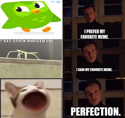 my favorite meme of 2019-2020 | I PREFER MY FAVORITE MEME. I SAID MY FAVORITE MEME. PERFECTION. | image tagged in perfection | made w/ Imgflip meme maker