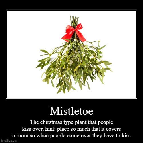 Whisletoe | image tagged in funny,demotivationals | made w/ Imgflip demotivational maker