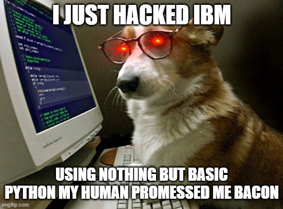 corgi hacker | I JUST HACKED IBM; USING NOTHING BUT BASIC PYTHON MY HUMAN PROMESSED ME BACON | image tagged in corgi hacker | made w/ Imgflip meme maker