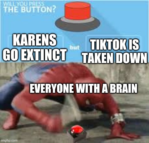 Will you press the button : r/memes