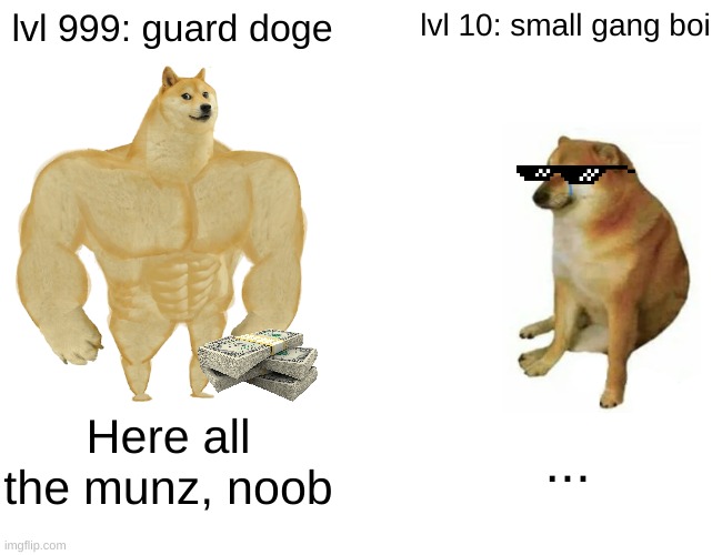 I don't know | lvl 999: guard doge; lvl 10: small gang boi; Here all the munz, noob; ... | image tagged in memes,buff doge vs cheems | made w/ Imgflip meme maker