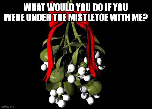Why do I do this?! | WHAT WOULD YOU DO IF YOU WERE UNDER THE MISTLETOE WITH ME? | made w/ Imgflip meme maker
