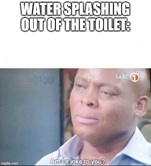 am I a joke to you | WATER SPLASHING OUT OF THE TOILET: | image tagged in am i a joke to you | made w/ Imgflip meme maker