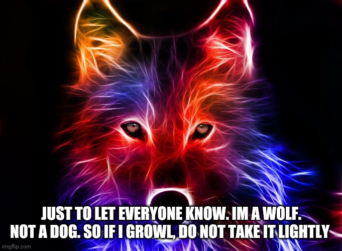 Wolf | JUST TO LET EVERYONE KNOW. IM A WOLF. NOT A DOG. SO IF I GROWL, DO NOT TAKE IT LIGHTLY | image tagged in wolf | made w/ Imgflip meme maker