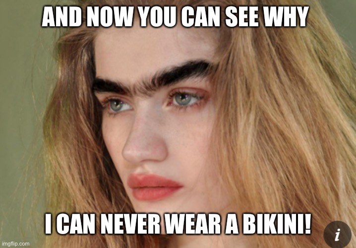 Unibrow | AND NOW YOU CAN SEE WHY; I CAN NEVER WEAR A BIKINI! | image tagged in funny memes | made w/ Imgflip meme maker