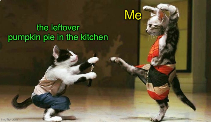 It’s Gonna Be a Fight to the Finish | Me; the leftover pumpkin pie in the kitchen | image tagged in funny memes,funny cat memes,funny,cats,leftovers | made w/ Imgflip meme maker