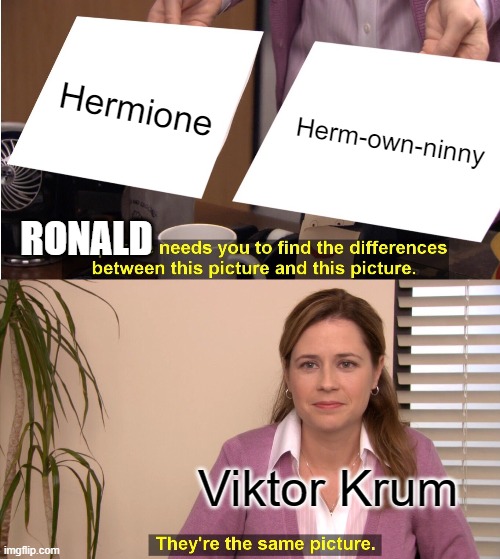 They're The Same Picture Meme | Hermione; Herm-own-ninny; RONALD; Viktor Krum | image tagged in memes,they're the same picture | made w/ Imgflip meme maker
