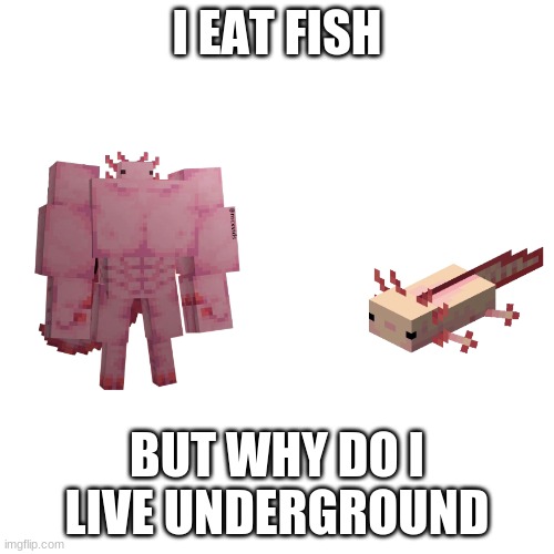 Swole Axolotl | I EAT FISH; BUT WHY DO I LIVE UNDERGROUND | image tagged in swole axolotl | made w/ Imgflip meme maker