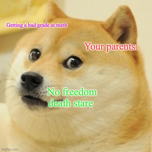 Doge | Getting a bad grade at math; Your parents:; No freedom death stare | image tagged in memes,doge | made w/ Imgflip meme maker