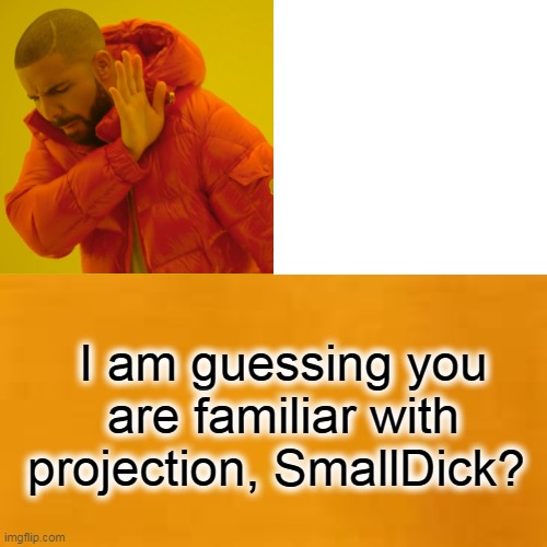 Drake Hotline Bling Meme | I am guessing you are familiar with projection, SmallDick? | image tagged in memes,drake hotline bling | made w/ Imgflip meme maker