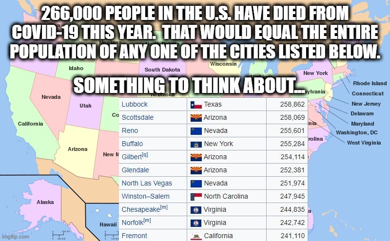 Pandemic | 266,000 PEOPLE IN THE U.S. HAVE DIED FROM COVID-19 THIS YEAR.  THAT WOULD EQUAL THE ENTIRE POPULATION OF ANY ONE OF THE CITIES LISTED BELOW. SOMETHING TO THINK ABOUT... | image tagged in covid-19 | made w/ Imgflip meme maker